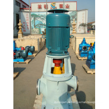 Marine Motor Vertical Gear Pump